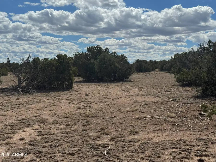Lot 131 Elk Valley Ranch -- #131, Saint Johns, AZ 85936 - Image #2