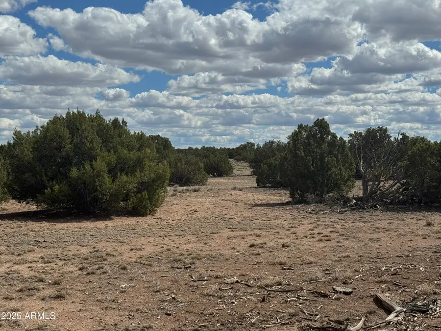 Lot 131 Elk Valley Ranch -- #131, Saint Johns, AZ 85936 - Image #3