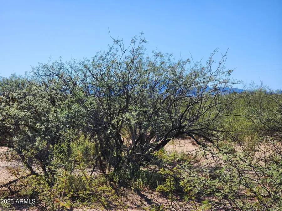 lot s Calle Molinar 350-350 --, Sierra Vista Southeast, AZ 85650 - Image #2