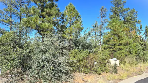 440 E Stoneridge Circle E #375, Show Low, AZ 85901