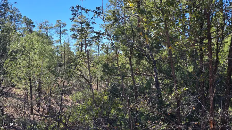 440 E Stoneridge Circle E #375, Show Low, AZ 85901 - Image #2