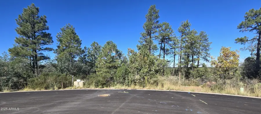 440 E Stoneridge Circle E #375, Show Low, AZ 85901 - Image #3