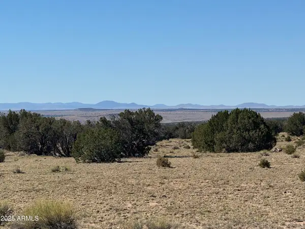 0 Woodlands Ranch - Lot 704 -- #704, St Johns, AZ 85936