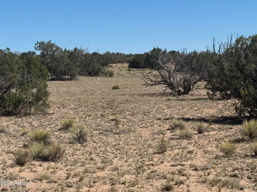 0 Woodlands Ranch - Lot 704 -- #704, Saint Johns, AZ 85936 - Image #2