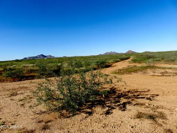 TBD N High Lonesome Road #52, Elfrida, AZ 85610