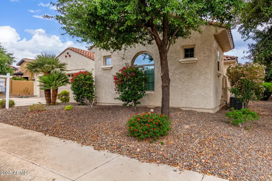 27105 W Marco Polo Road, Buckeye, AZ 85396 - Image #2