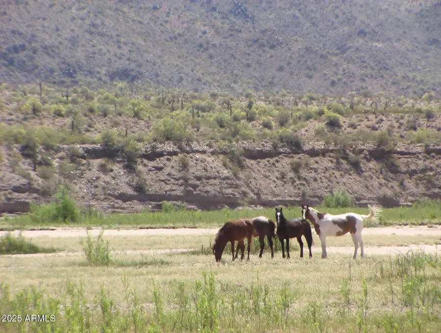 236243 S Signal Road, Wikieup, AZ 85360 - Image #2