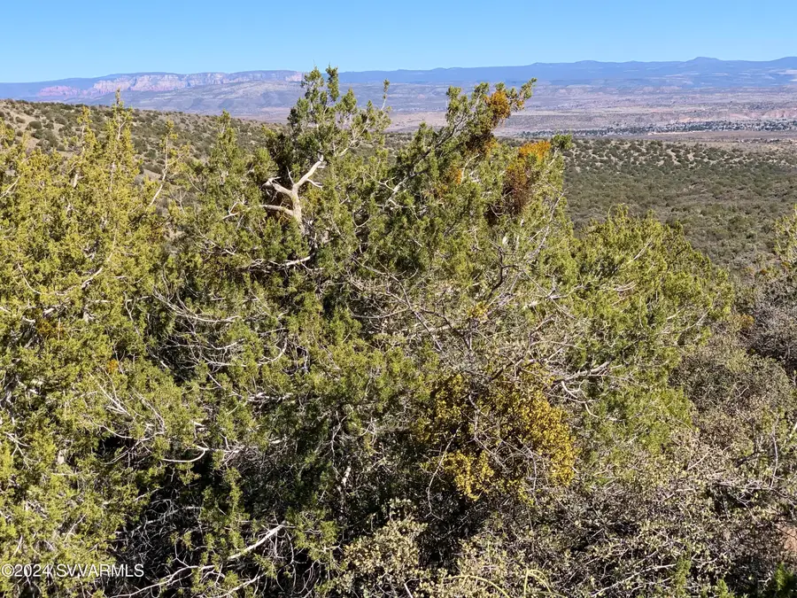 2990 W Quail Springs Ranch Road, Mingus Mountain, AZ 86326 - Image #3