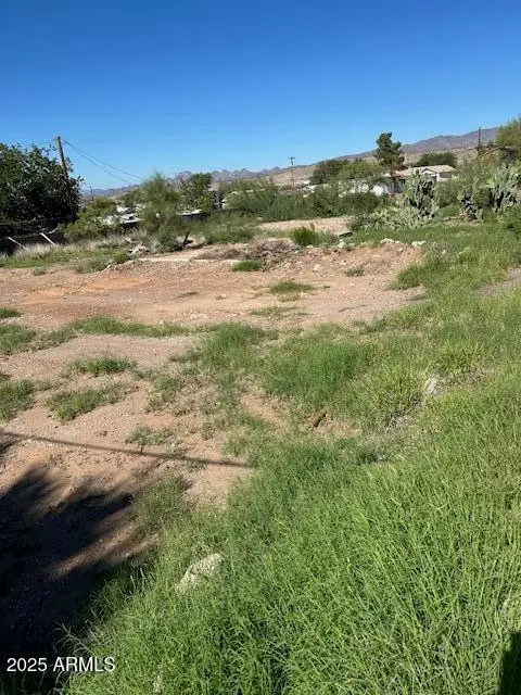 112 N South Avenue #11 & 12, Superior, AZ 85173 - Image #2