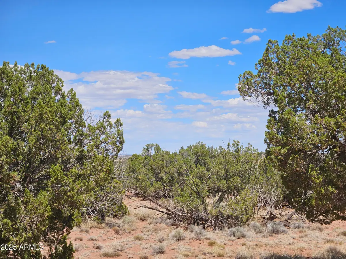 27 N N9183 -- #72, Concho, AZ 85924 - Image #1