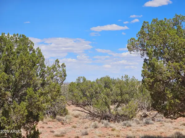 27 N N9183 -- #72, Concho, AZ 85924