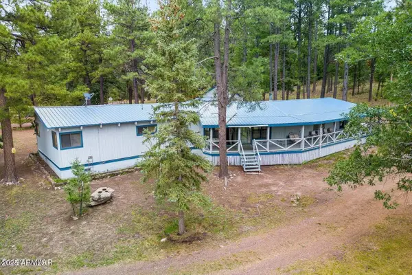 52 County Road 2271 --, Alpine, AZ 85920