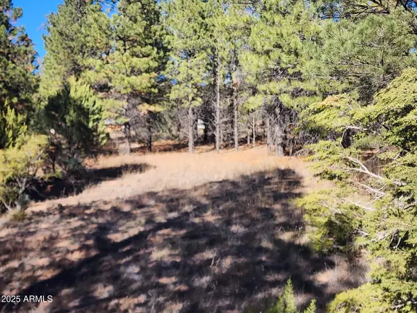 TBD Cedar Bark Trail Parcel #4 -- #4, Overgaard, AZ 85933