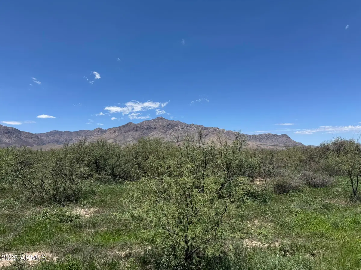 39.6 Acres W Paulo Rose Drive #2, Portal, AZ 85632 - Image #1