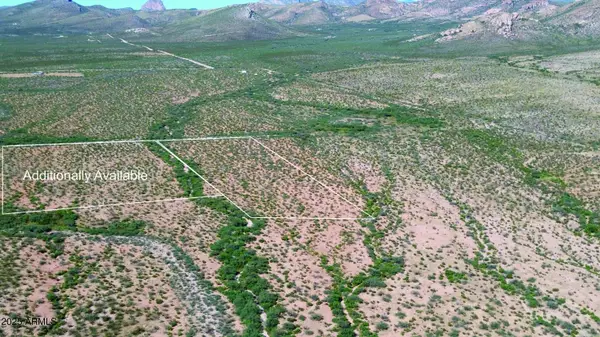 5.32 Acres Calle Los Vientos -- #247, Douglas, AZ 85607