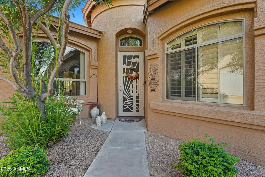 9617 E Champagne Drive, Sun Lakes, AZ 85248 - Image #3