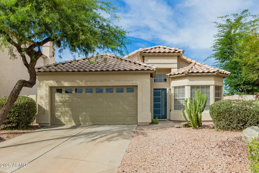 786 S Catalina Street, Gilbert, AZ 85233 - Image #3