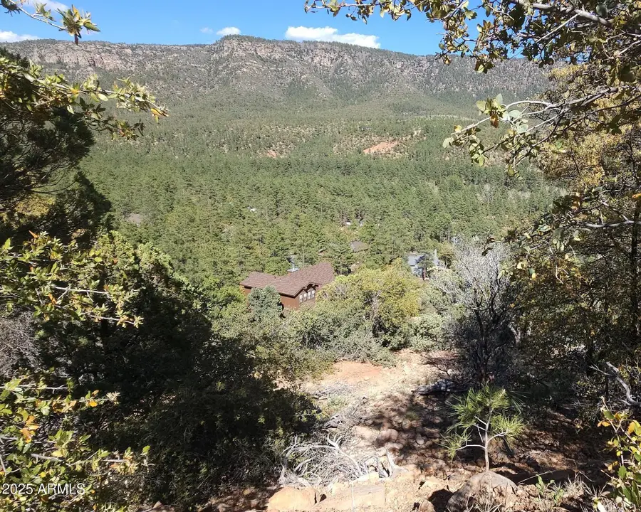5059 N Hilltop Drive #147, Pine, AZ 85544 - Image #2
