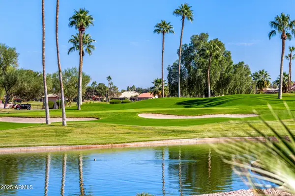 9020 E Cedar Waxwing Drive, Sun Lakes, AZ 85248