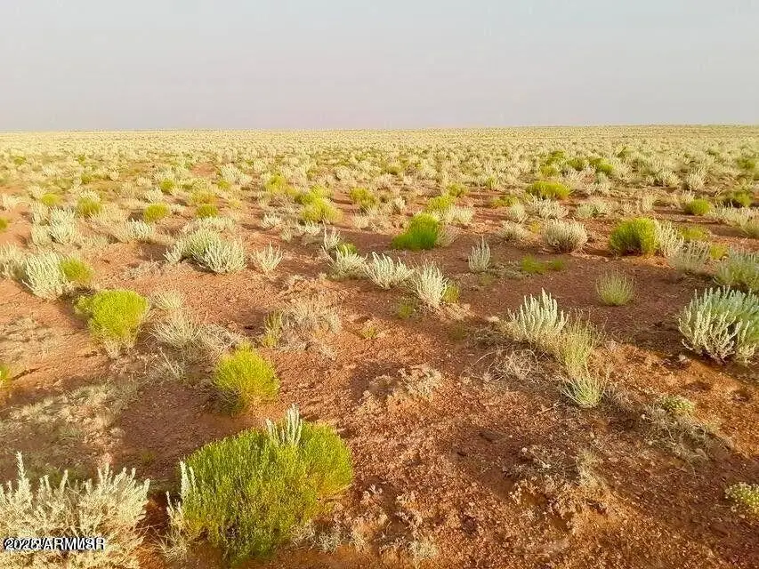 TBD Hodges Ln 39.05 Acres --, Winslow Holbrook, AZ 86025 - Image #2