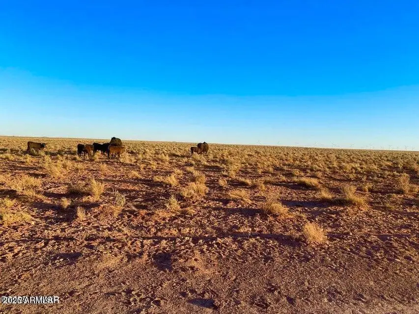 TBD Hodges Ln 39.05 Acres --, Winslow Holbrook, AZ 86025 - Image #3