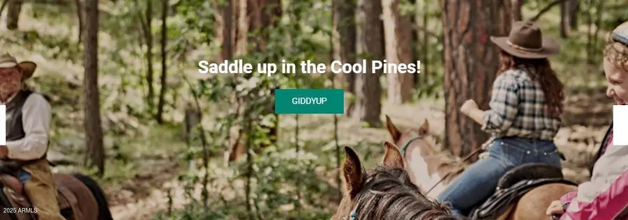 732 Lots A Luck Lane #6, Mormon Lake, AZ 86038 - Image #3