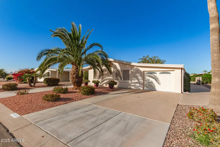 9119 E Olive Lane S, Sun Lakes, AZ 85248 - Image #3
