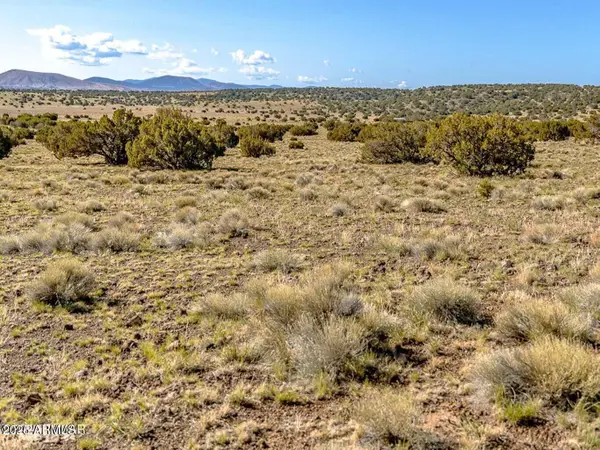 TBD Co Rd 5106 Lot #2 1.1 Acres --, Concho, AZ 85924
