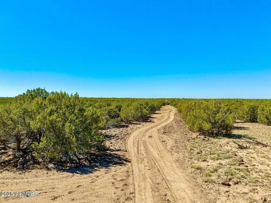 132 Co Rd 8061 1.26 Acres --, Concho, AZ 85924 - Image #2