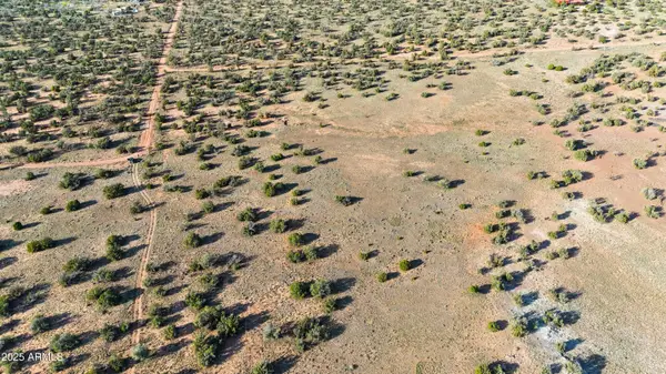 TBD County Rd N5504 --, Concho, AZ 85924