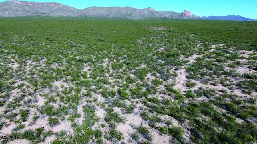 6.48 Acre La Deffensa Road #166, Douglas, AZ 85607 - Image #3
