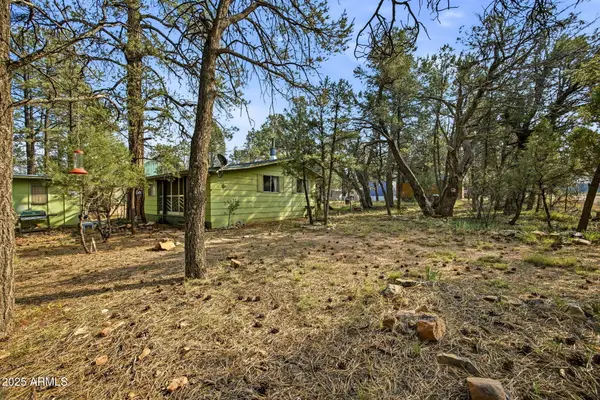 2887 Center Road, Overgaard, AZ 85933
