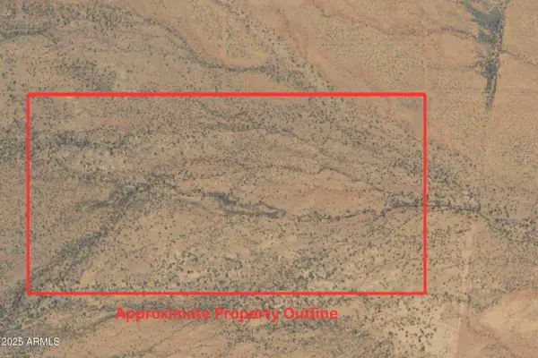 318.47 Acres -- #25, McNeal, AZ 85617