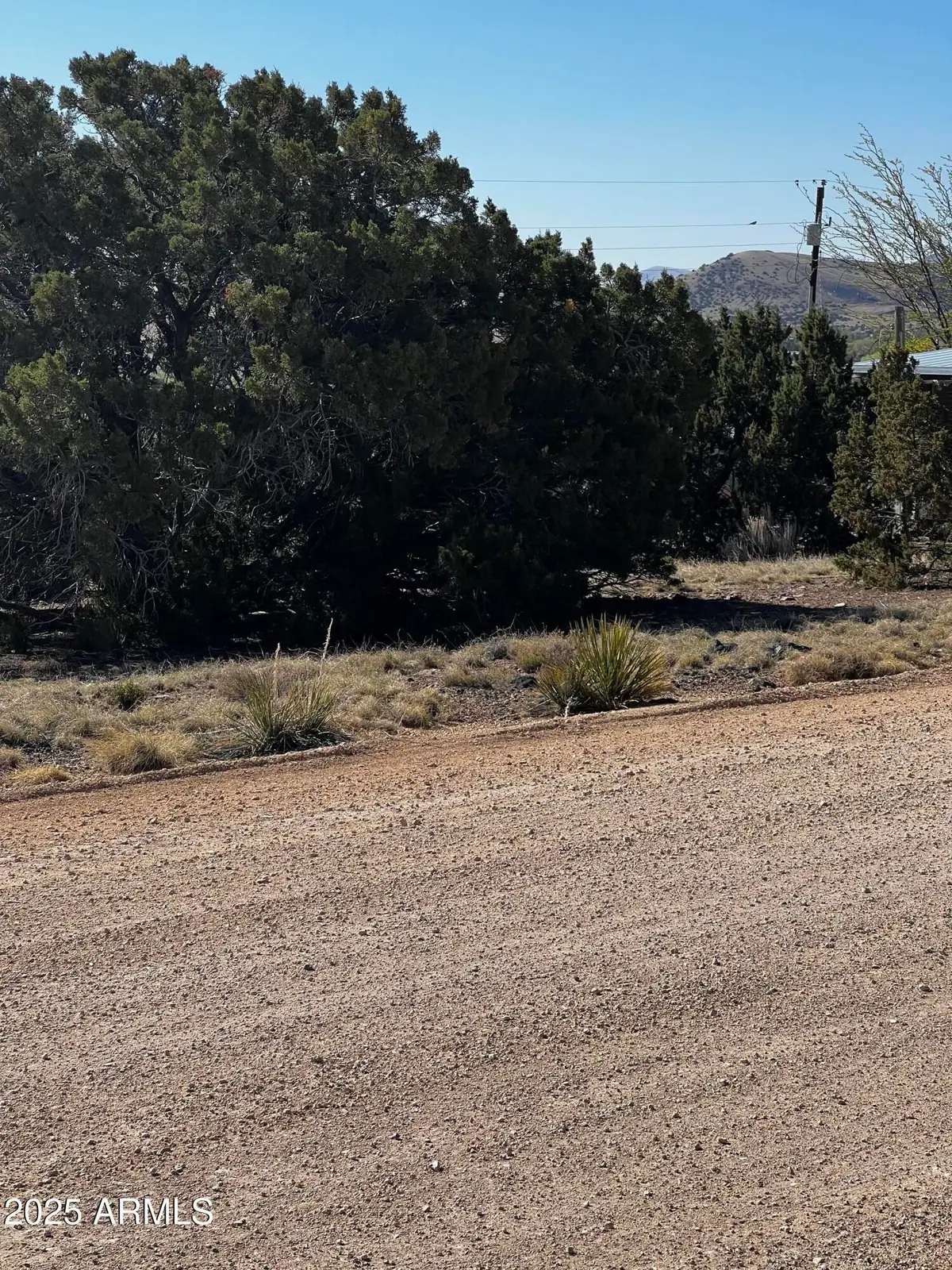 58 Short Lane #2, Concho, AZ 85924 - Image #1