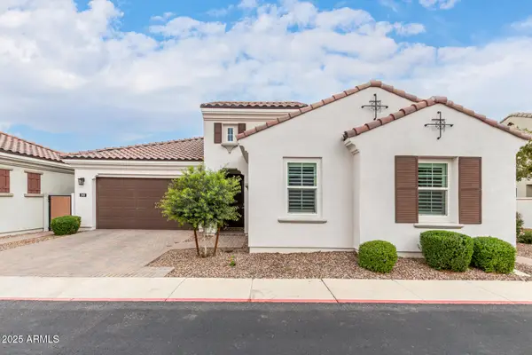 242 E Aster Drive, Chandler, AZ 85286