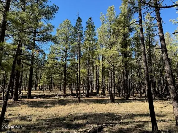 Lot 3L N Quintana Drive, Flagstaff, AZ 86001