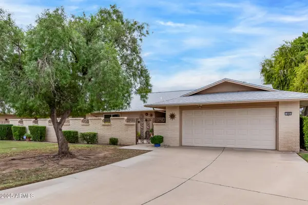 9881 W Spanish Moss Court, Sun City, AZ 85373