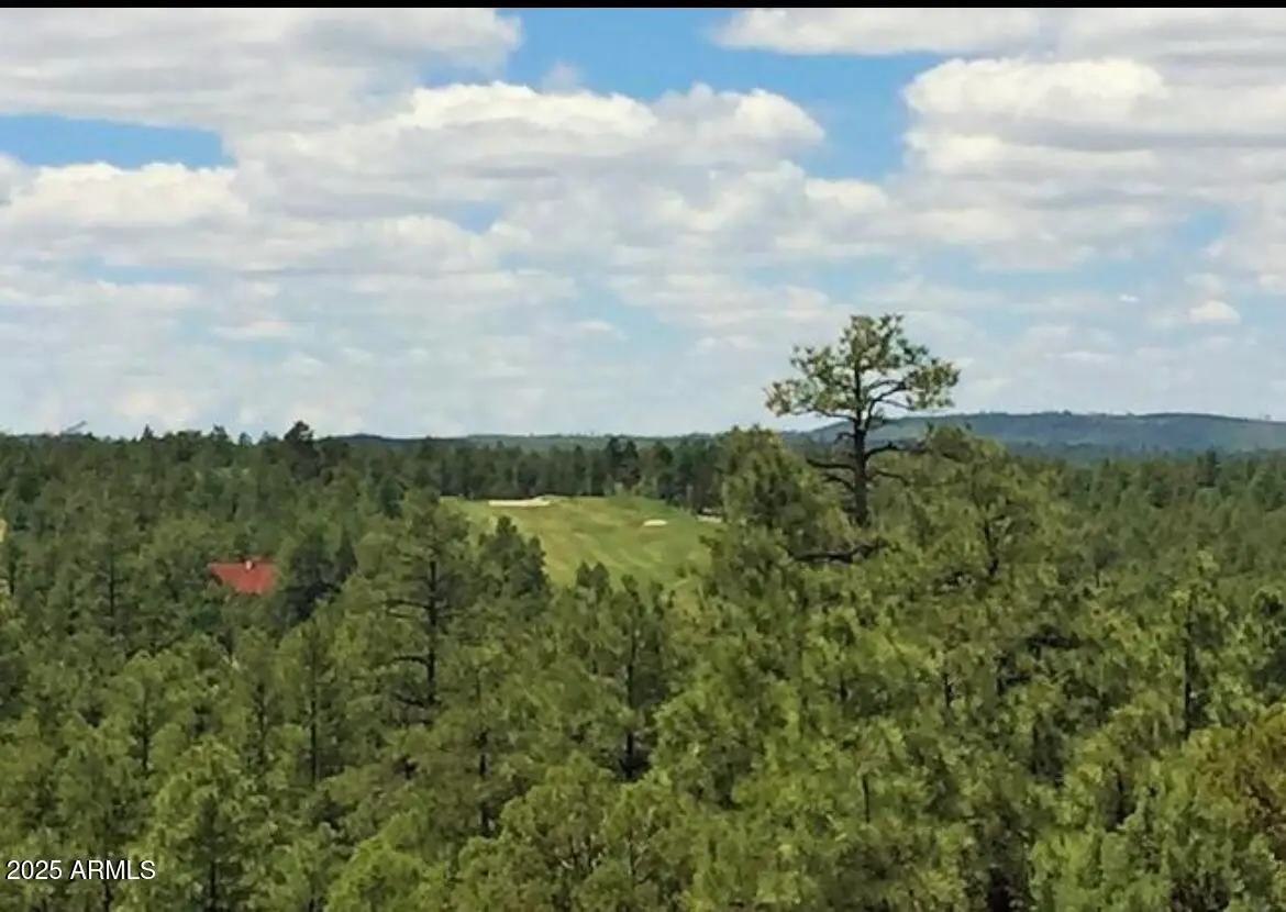 3680 W Sage Lane #260, Show Low, AZ 85901 - Image #1