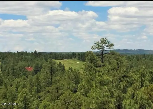 3680 W Sage Lane #260, Show Low, AZ 85901