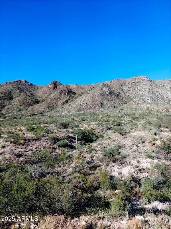 16231 E Hillton Ranch Road, Vail, AZ 85641