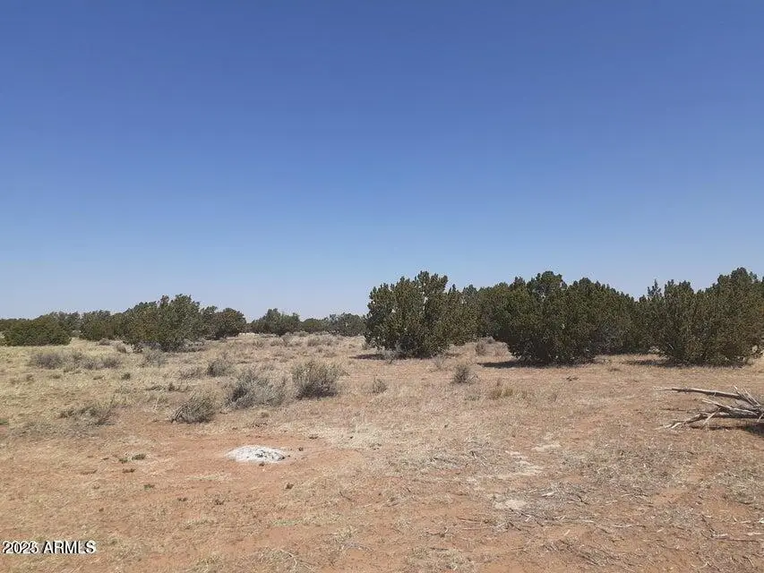 10 Acre 17xx Buffington Hill Road, Heber, AZ 85928 - Image #3
