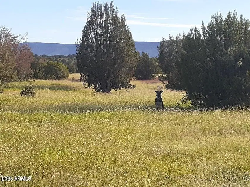 32018 W Calle Ines Parkway, Seligman, AZ 86337 - Image #1