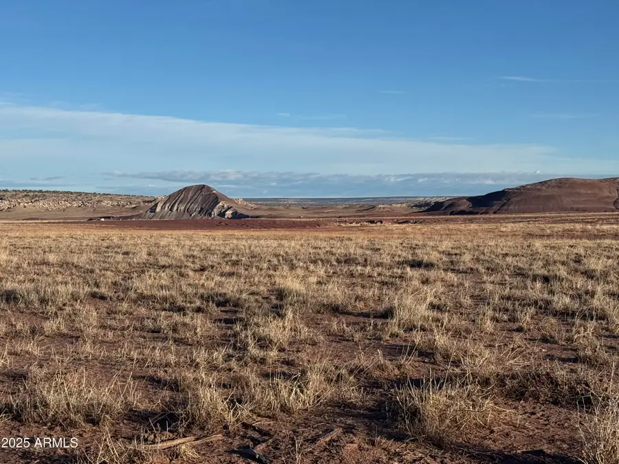 Lot #35 Bonito Valley Ranch -- #35, Saint Johns, AZ 85936 - Image #3