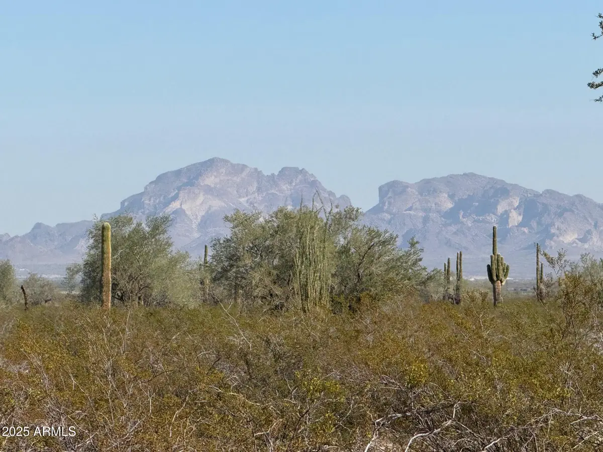 1180 N 557th Avenue, Tonopah, AZ 85354 - Image #1