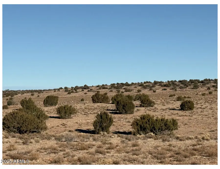 10381 High Butte Drive, Valle, AZ 86046 - Image #3