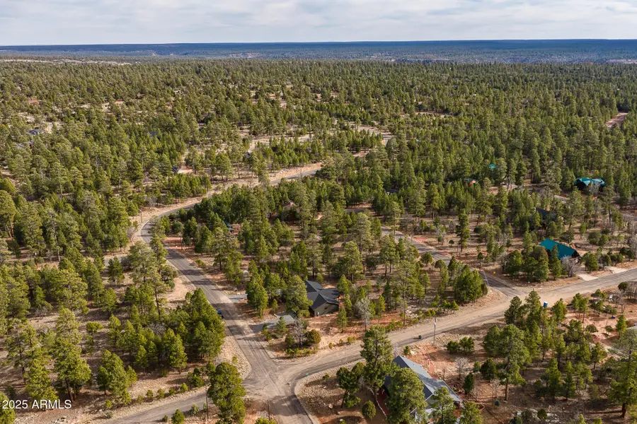 5018 Durango Drive, Blue Ridge, AZ 86024 - Image #2