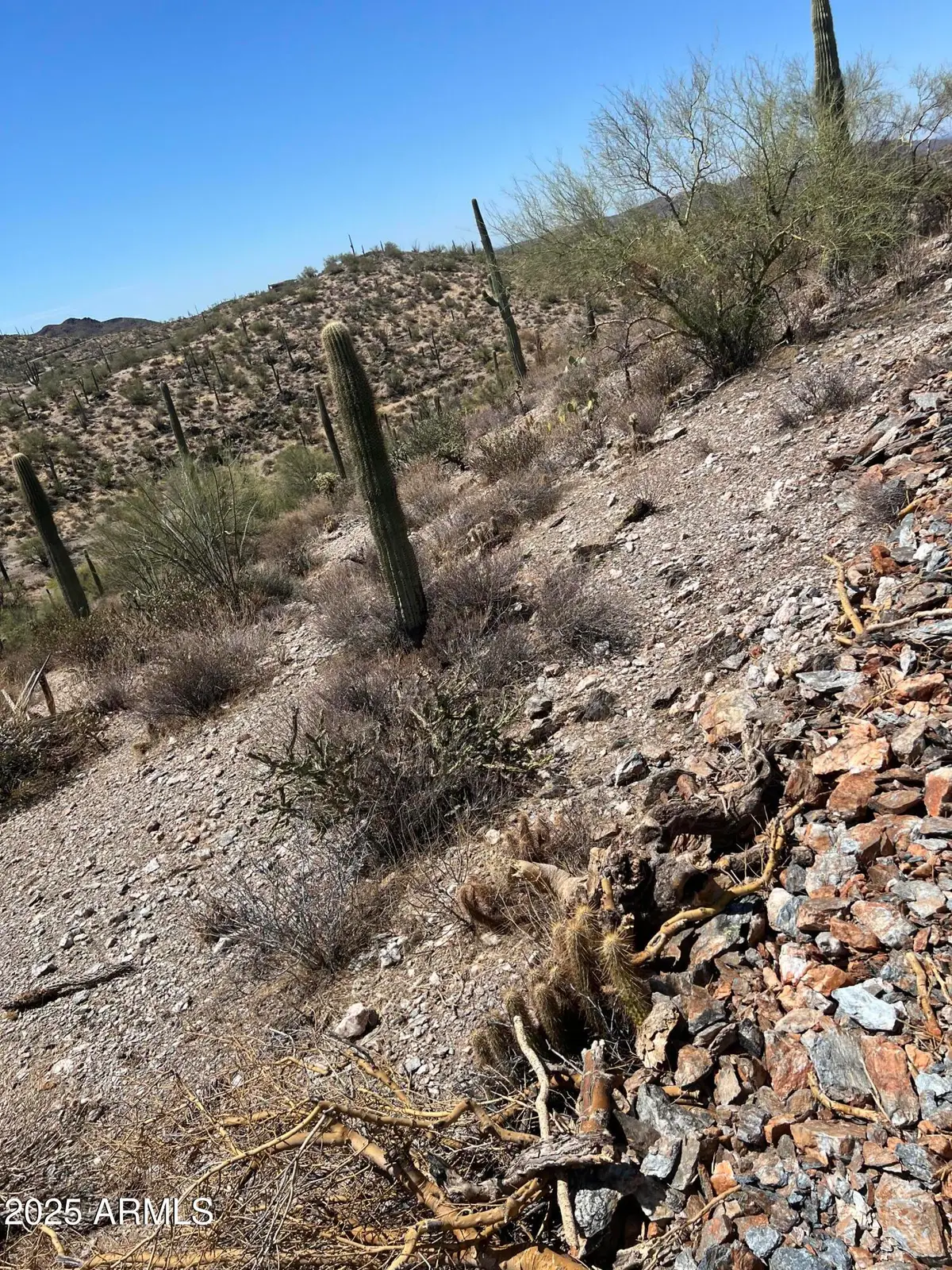 11XX S Hardt Tank S Lot 4 Road, North Pinal, AZ 85118 - Image #1