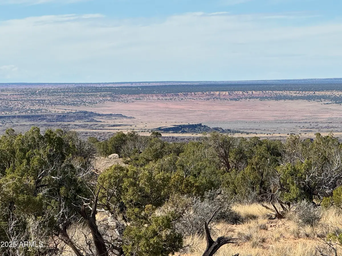 Lot 62 Sierra Highlands Ranch -- #62, Saint Johns, AZ 85936 - Image #1