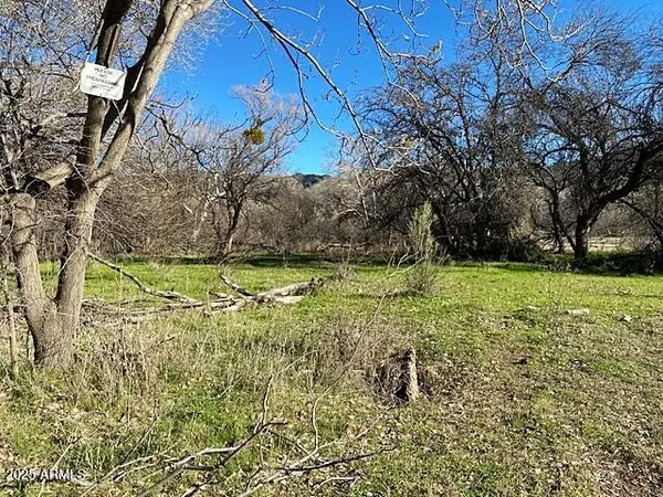 0 S Tonto Creek Drive #391, Payson, AZ 85541