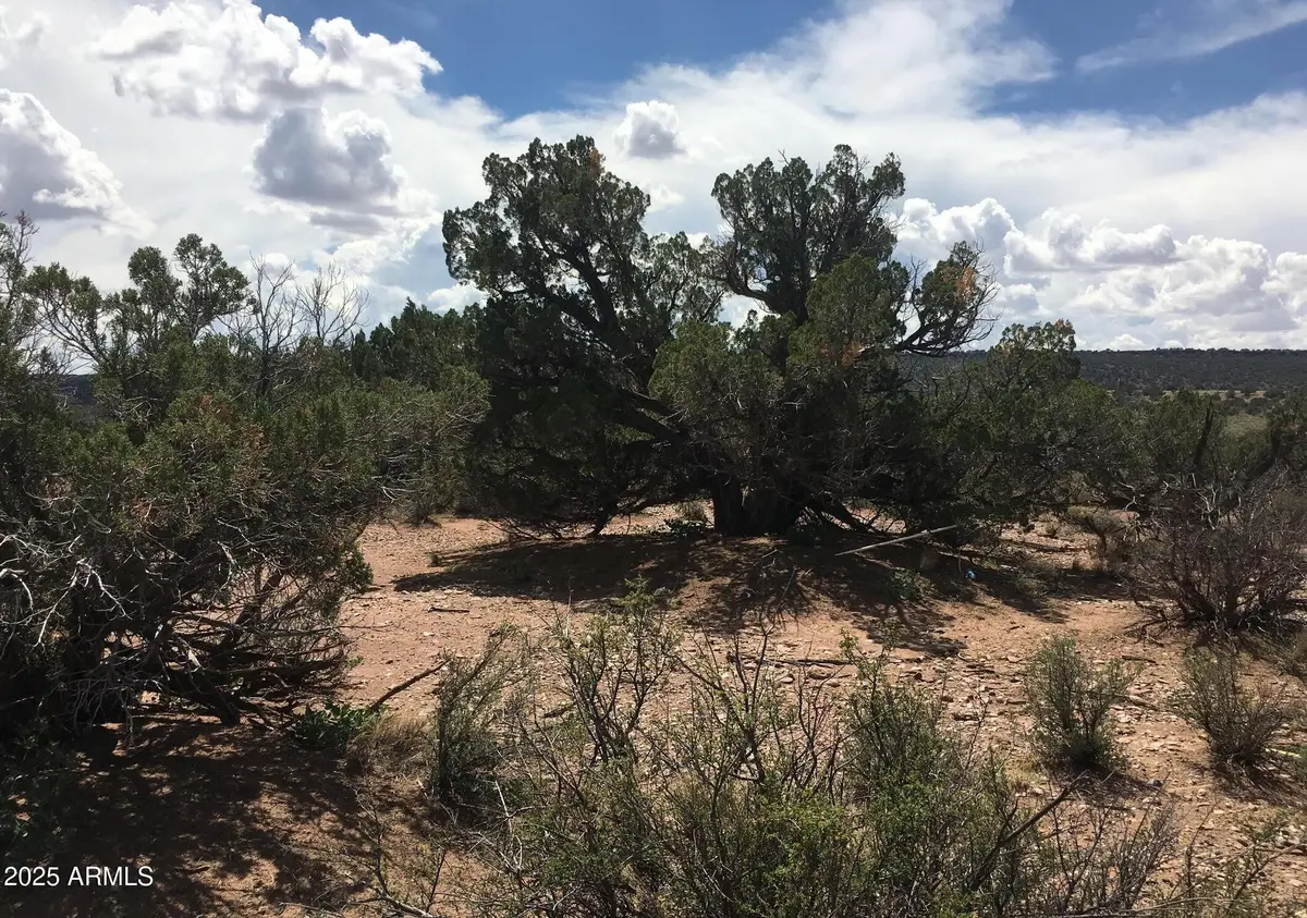 4266 Bunkhouse Road #6, Snowflake, AZ 85937 - Image #1